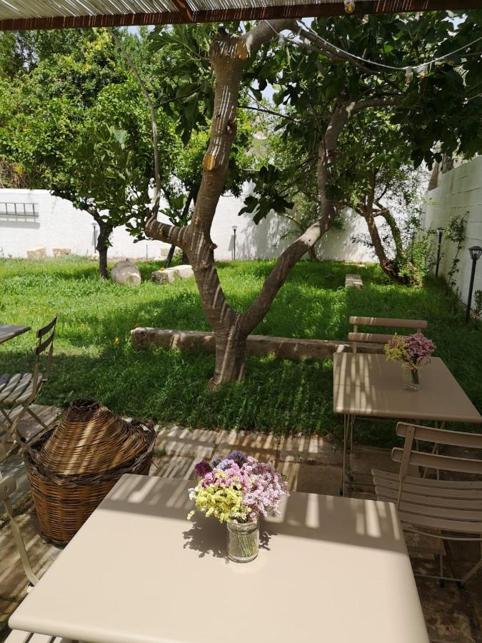 Casa Frea Dimora Storica Bed & Breakfast Martano Dış mekan fotoğraf